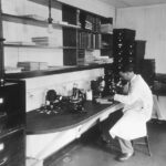 自然療法治療記憶力喪失的有效方法 7 photo 1630959299388 6e983fed7b98