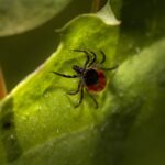 photo 1635406466111 d63fa7aaa77b