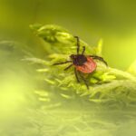 photo 1638520609542 4c421854afa6