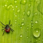 photo 1643564554431 4846739575e6