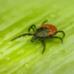 子宮肌瘤:你需要知道的一切 7 photo 1643578918332 ff8fe0d7dcdf