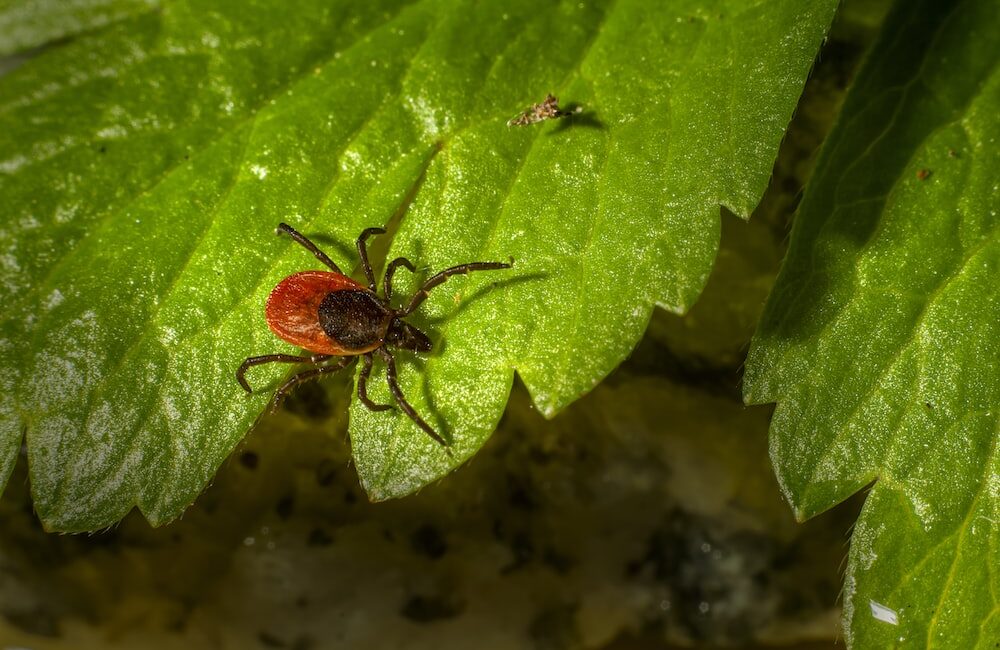 睡眠與記憶力喪失:建立良好的睡眠習慣 3 睡眠與記憶力喪失:建立良好的睡眠習慣