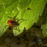 睡眠與記憶力喪失:建立良好的睡眠習慣 7 photo 1643653609736 a2aa7ea5da1b