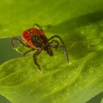 腸胃道常見疾病 - 消化不良的症狀、原因及治療 2 photo 1643653610908 1ef1be3afeab