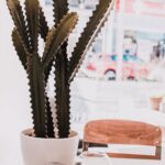 健康早餐:保持能量充沛的秘訣 (Healthy 1 pexels photo 1094570