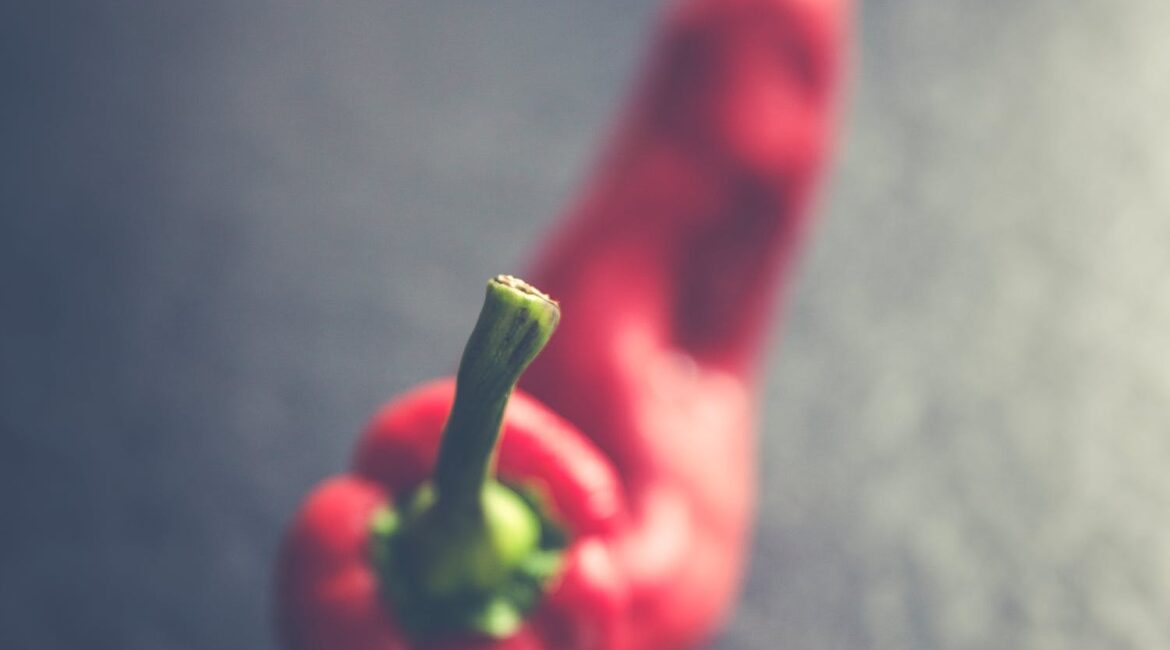 確保孩子們健康成長的素食飲食指南