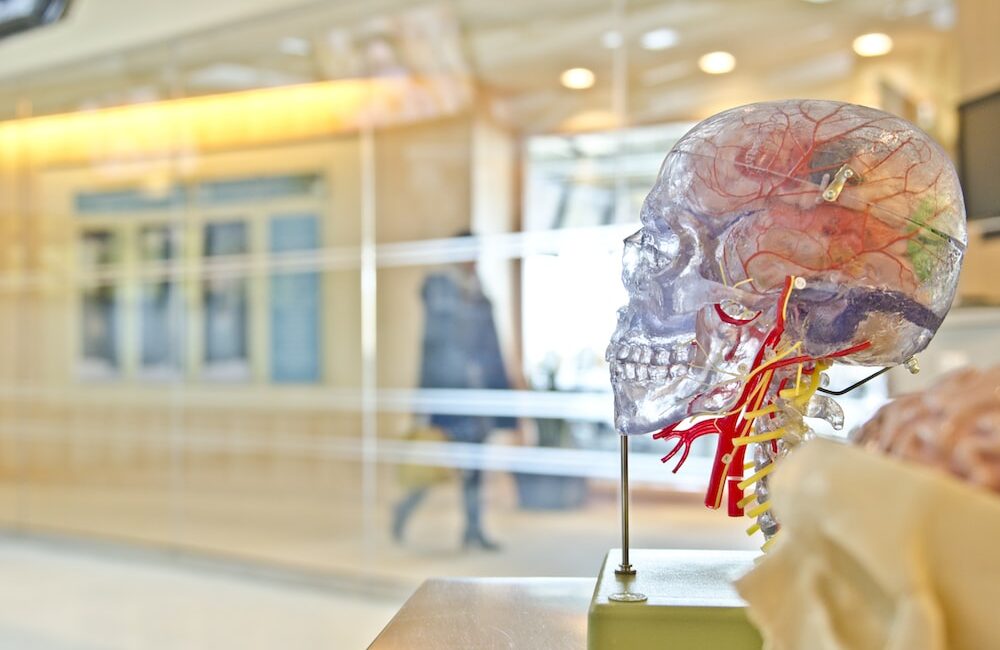 發現健康穀物的好處：維他命、纖維和礦物質一次滿足