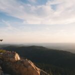 photo 1465080207318 3de7361f84e7