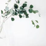 選擇適合你的健康飲品:關鍵營養成分解析 5 photo 1466781783364 36c955e42a7f