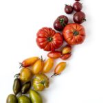 健康習慣改變生活:煩惱與壓力的緩解之道 5 photo 1504472685735 9bd4075b3779