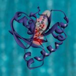 針對頭痛問題的常見誤解 2 photo 1578496779937 3815e442abed