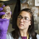 理解痔瘡形成的原因及適當預防措施 2 photo 1584515933534 e71ba319201c