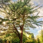 咳痰原因與治療方法:全面指南 4 photo 1587488430541 1d3ebf4f0a57