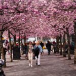 「鈣化現象與影響:了解鈣化現象對建築材料的損壞」 5 photo 1587736017332 6c7a79156bf3