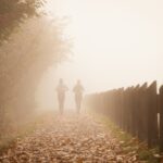 素食飲食:掌握平衡營養的關鍵 4 photo 1590646299329 ac2652afd477