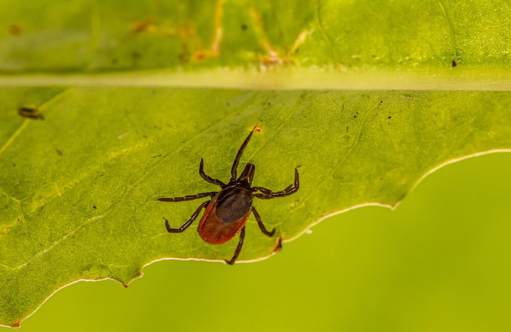如何預防與緩解關節疼痛的有效技巧