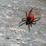 預防痔瘡:生活習慣中的關鍵措施 7 photo 1611765228728 2d43a1b438c1