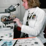 可食用的營養品,助你治療貧血 5 photo 1630959300412 fe5827ce8fe2