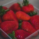 pexels photo 1028435