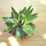 骨折的治療和康復:詳盡指南 3 pexels photo 1693546