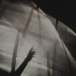 知識豐富:解析纖維對腸道健康的影響 4 pexels photo 3232888