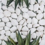 pexels photo 7903379