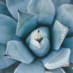 photo 1485842536783 f791cdb28f2f