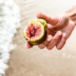 運動與健康飲食計劃的完美結合 7 photo 1542013913605 2802786a0c46