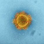 photo 1579544787614 fa683917e045