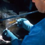 photo 1581594549713 200463fcd4ab