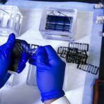 photo 1582719366794 4d27cd0a34a0