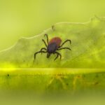 網路上常見的「頭痛緩解」方法大揭秘 2 photo 1638520607837 3b65b6794ad9