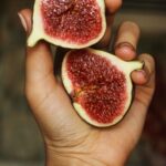 pexels photo 2053150