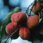 尿急尿頻之原因分析及治療方法 1 pexels photo 4058752