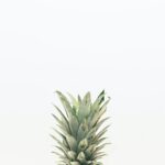 photo 1495299458363 c7d39bb37892