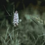 健康零食替代品:體面的代替選擇 8 photo 1504693965086 0d0b800b8cac