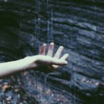 photo 1508787340649 145631a9b715