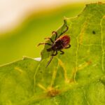 photo 1598788683011 281780f52c2b