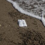 了解痴呆症:症狀、治療和預防方法 2 photo 1608538618362 5c33c1d4c20d