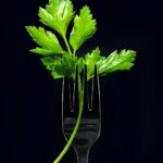 photo 1616607238884 197998dbcecc