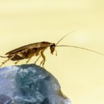 photo 1643578918159 2ab8889c7471