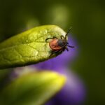 photo 1669709832851 f4bc0b0f44f0