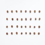 pexels photo 4109747