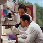 photo 1630959302878 a30de73cdbb5