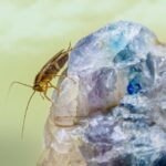 痔瘡治療:傳統與現代方法詳解 8 photo 1643578918844 8831c21e1324