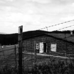 photo 1661859683324 b064a494cd51