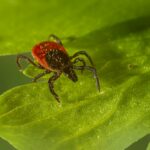 痔瘡與孕婦:預防和處理方法 5 1701007348 photo 1643653610908 1ef1be3afeab