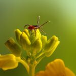 專家分享:改變飲食習慣對於防治痔瘡的關鍵作用 3 photo 1643564554715 93f671474eba