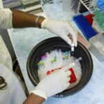 photo 1576091160651 e028ca26a943