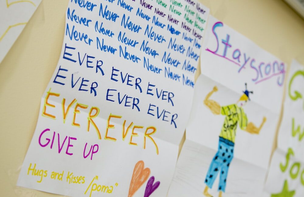 「鈣化處理對植物生長的正面效果」 3 「鈣化處理對植物生長的正面效果」